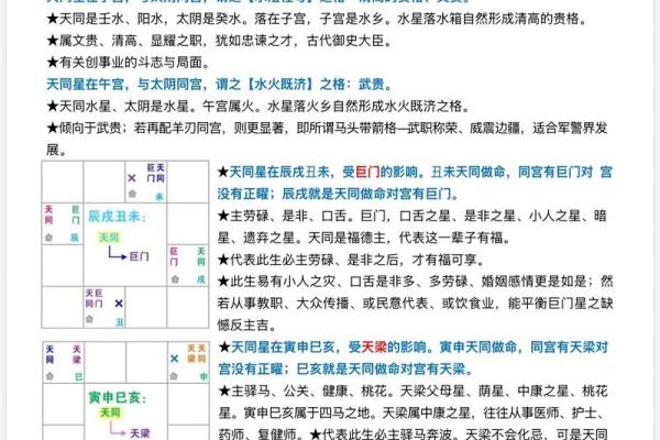 许铨仁紫薇斗数高级班笔记