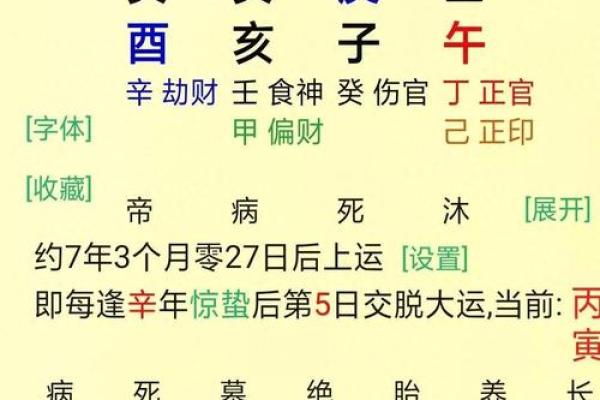 解析八字命盘，掌握旺食旺，提升个人运势