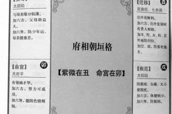 紫薇斗数紫府朝斗