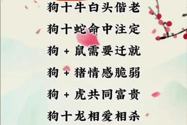 八字合婚属羊的女人和属猴男能配吗 婚姻好不好