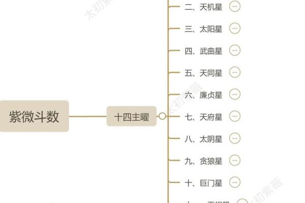 如何通过紫薇斗数看学业