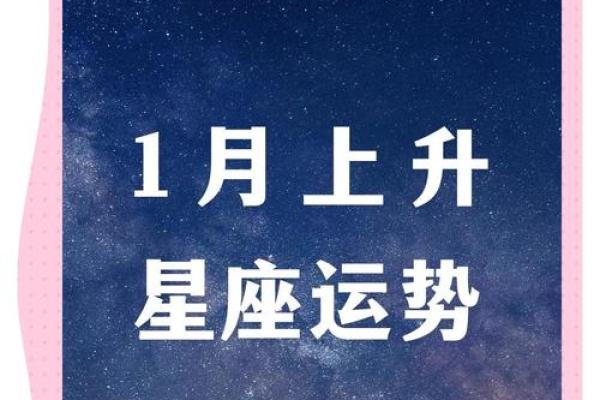 猎鹰上升星座摩羯运势2024