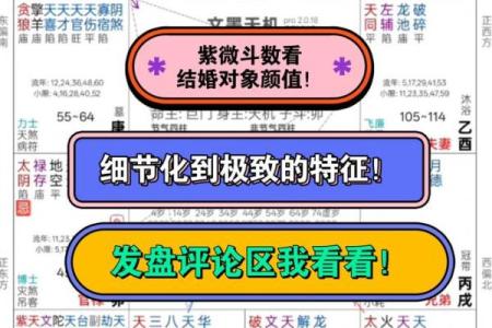 紫微斗数二婚 紫微斗数二婚配偶特征？