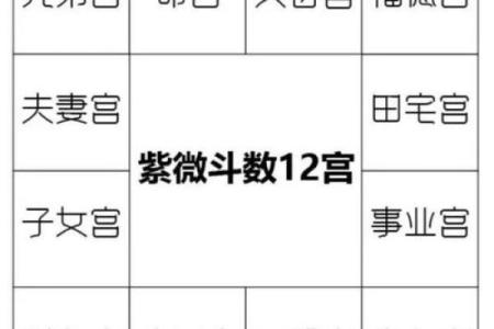 紫薇斗数富豪命