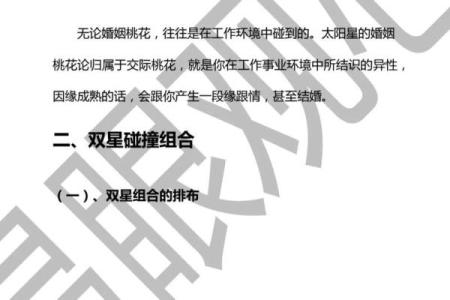许铨仁紫薇斗数高级班笔记