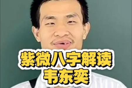 紫薇斗数反推生辰