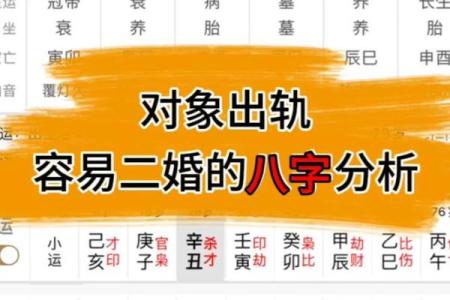 易奇八字婚姻树