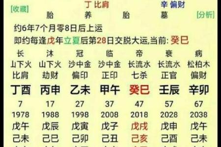 财生官 财生官#八字