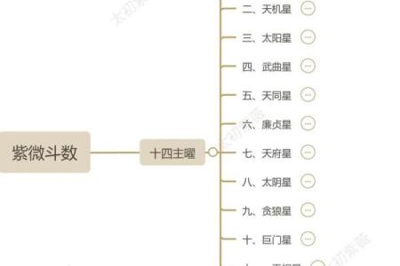 如何通过紫薇斗数看学业