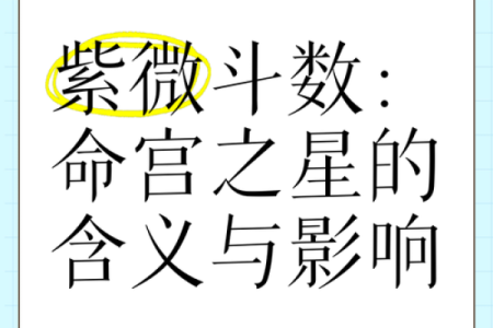 紫薇斗数星星含义