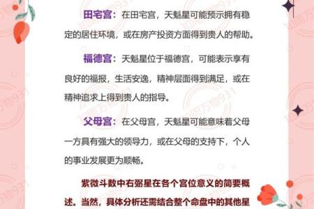 紫薇斗数怎么安天魁
