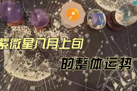 紫薇星座八月爱情运势