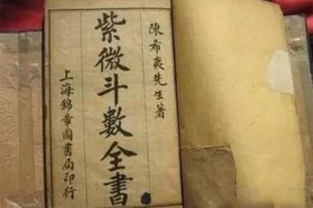 紫薇斗数律师