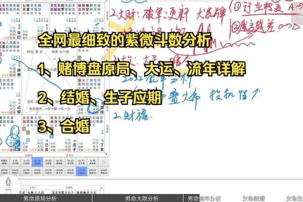紫薇斗数流年学历