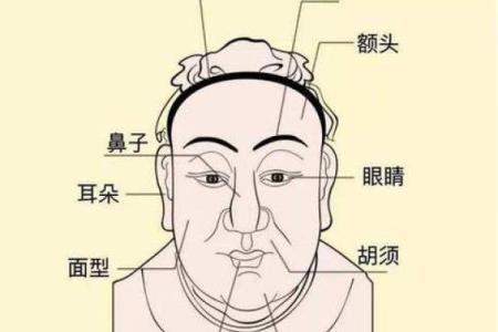 当官的八字
