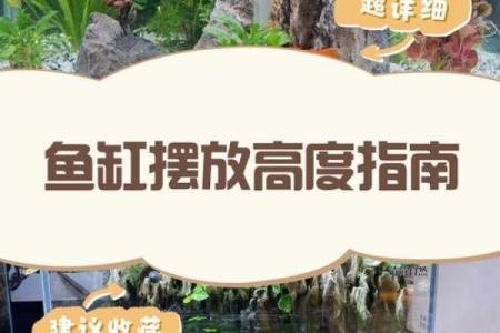 鱼缸与风水禁忌 这些摆放位置要注意