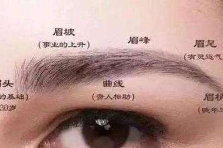 面相风水女人十大富贵眉毛你有吗