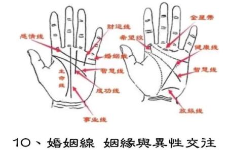 女性左手掌纹手相算命准吗