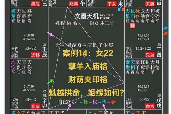 紫薇斗数旺平陷