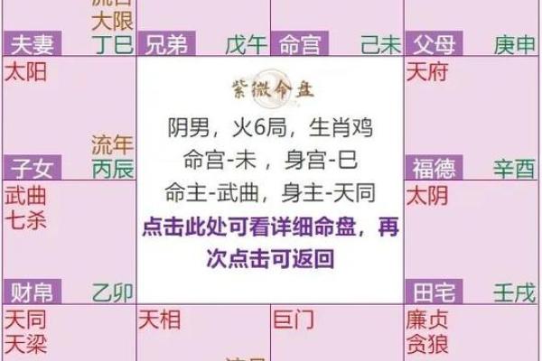紫薇斗数文曲在命宫