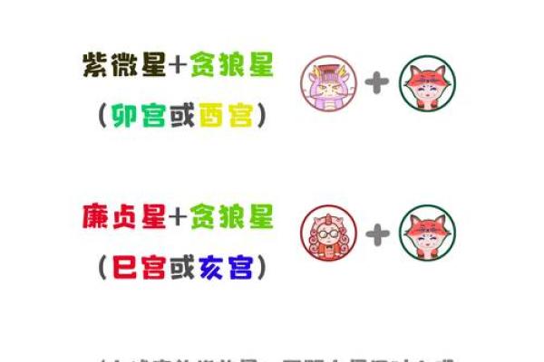 紫薇星耀的寓意
