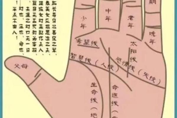 风水生命线短的人寿命短吗有什么说法