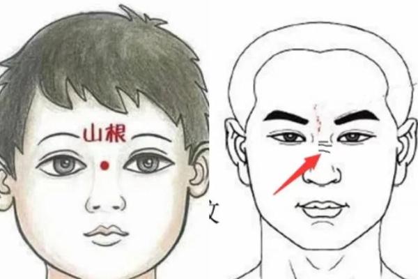 面相解析：从山根看相算命