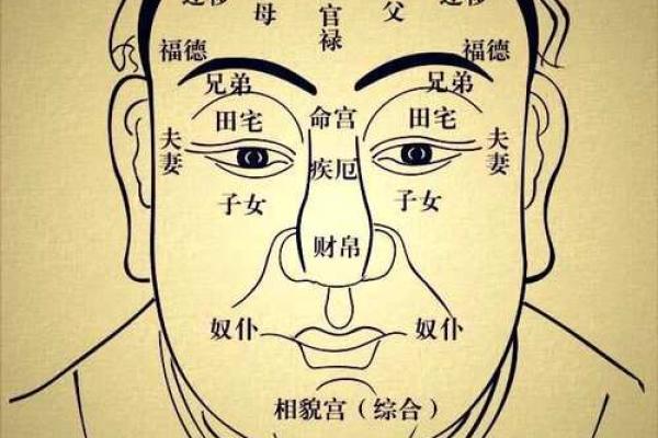 面相解析：从山根看相算命