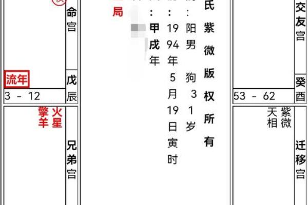 紫薇斗数解析排盘