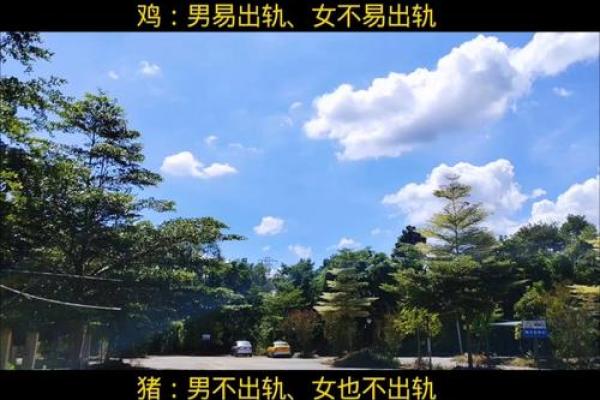 对婚姻忠诚的八字 如何做到婚姻忠诚