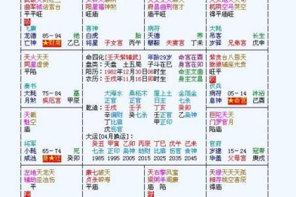 紫薇斗数星盘名称