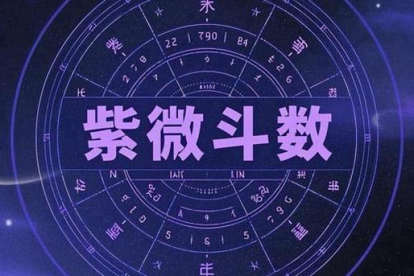 紫微斗数之诸星值限年运气推断:天府星之年 紫微斗数之诸星值限年运气推断:天府星之年