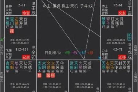 紫微斗数之疾厄宫与诸星，天相星在疾病宫是什么意思？