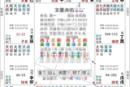 紫微斗数案例42财官：如此命盘，你将获得一张顶级财运体验卡