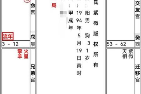 紫薇斗数解析排盘