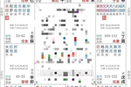 紫薇斗数紫薇化忌