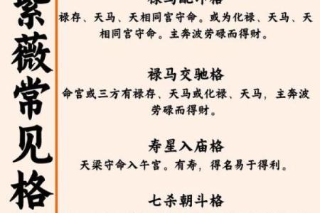 紫微斗数继父 紫微斗数看父母再婚？