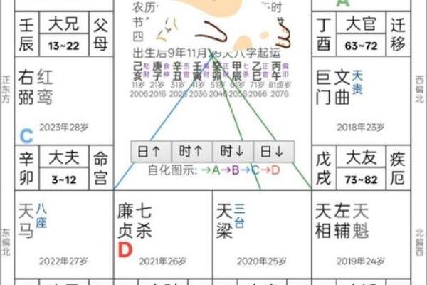 蔡辰洲紫薇斗数