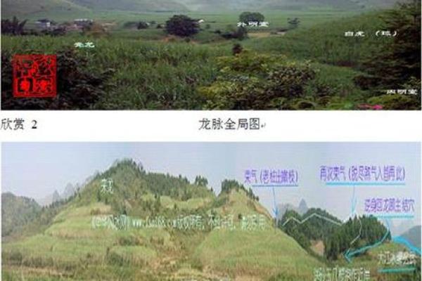 大富贵坟地风水顺口溜