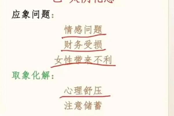 紫薇斗数事业宫化忌