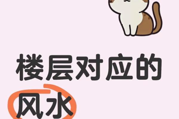 五行风水与楼层 五行风水与楼层有关吗