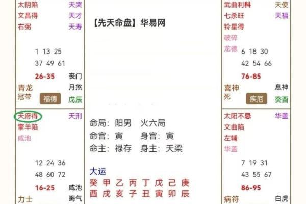 紫薇斗数安卓