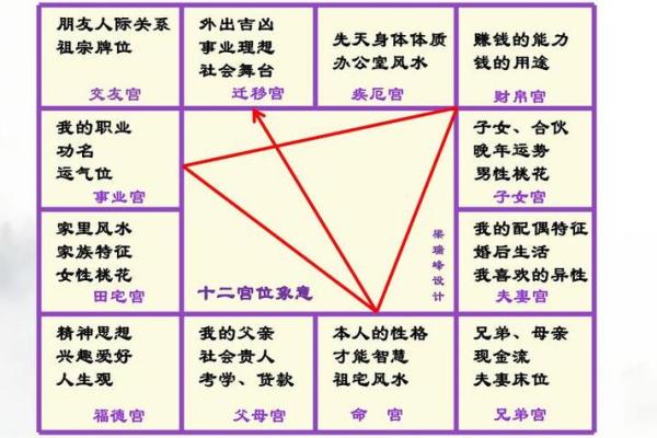 紫薇斗数事业宫详解