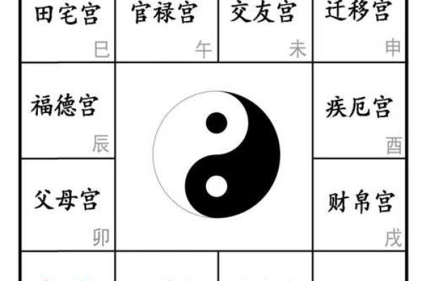 中洲派紫薇斗数
