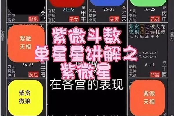 紫薇斗数小限怎么看