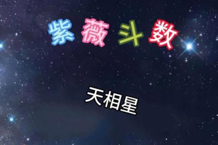 紫薇斗数卡牌