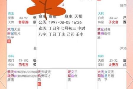 紫薇斗数中的平陷庙是什么意思