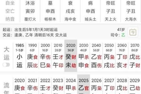 申辰相拱女命  八字申辰相拱