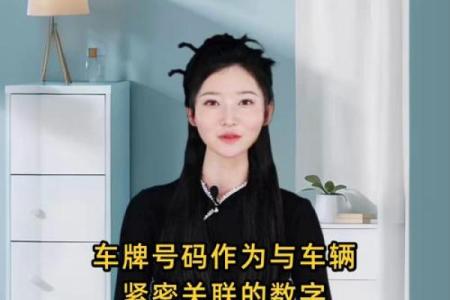 周易车牌吉凶测试打分