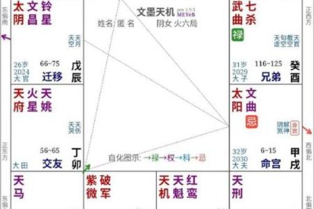 紫薇斗数测事业成就